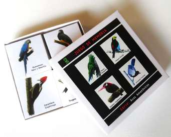 Aves Amazónicas