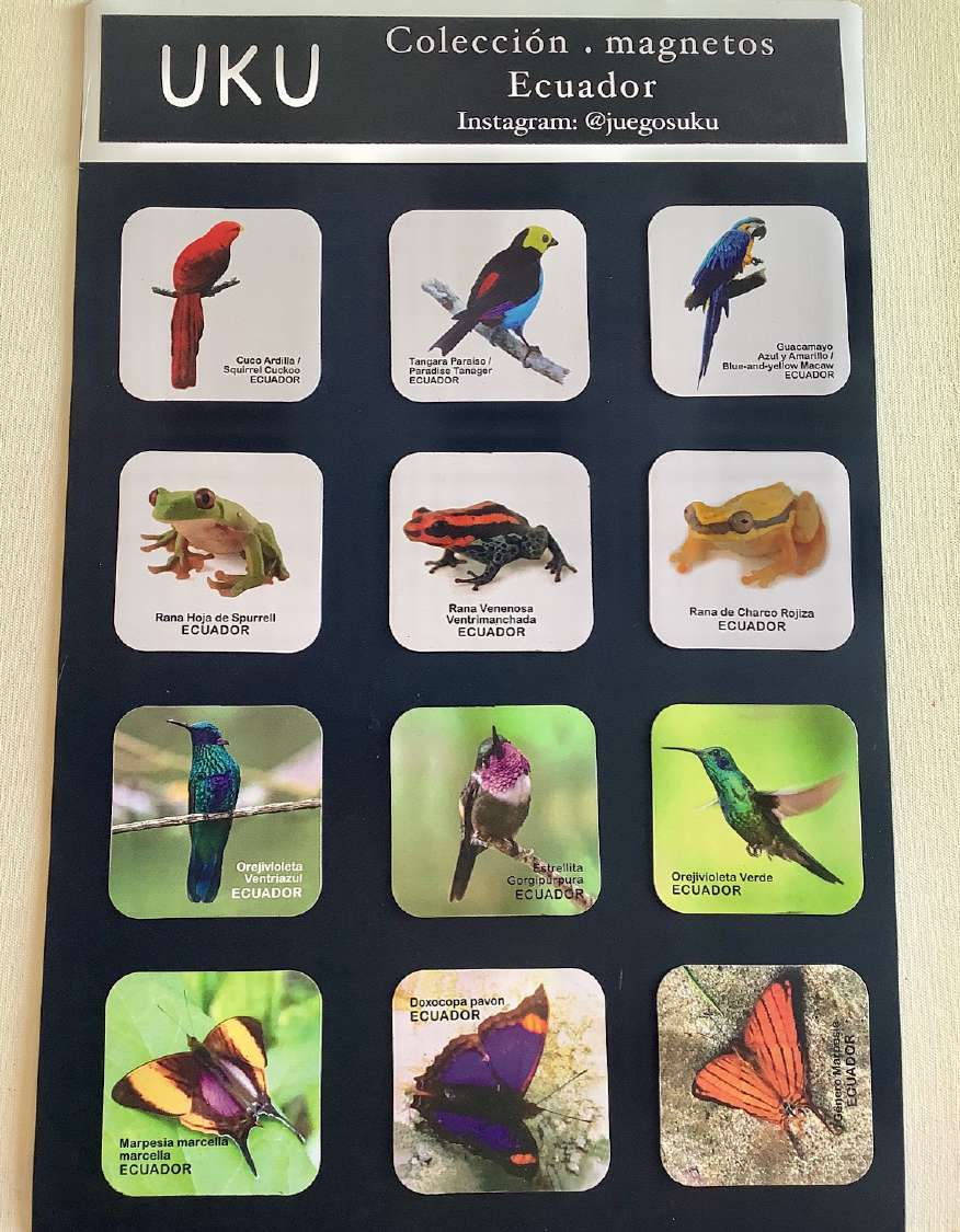 Colección Magnetos