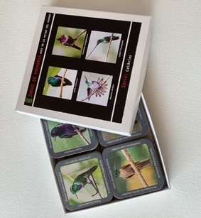 Serie Colibríes