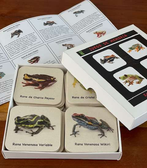 Ranas del Ecuador