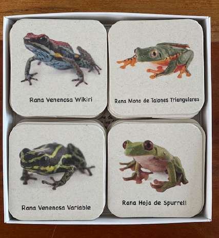Ranas del Ecuador