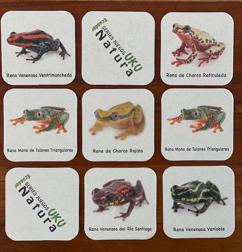 Ranas del Ecuador
